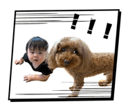 883437687