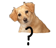 883437943