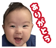883439153