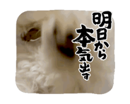 883439802