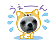 883440449