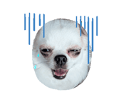 883440455