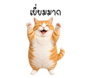 883441491