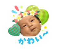 883441562