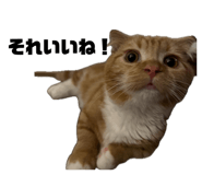 883444084
