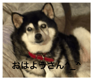 883444377