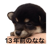883444383