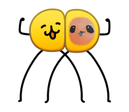 883444880