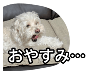 883445321