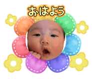 883445595