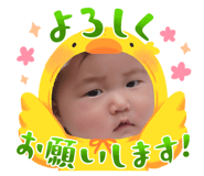 883445614