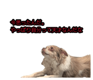 883445657