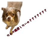 883445658