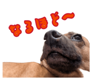 883445659