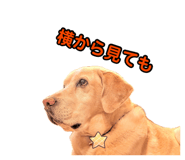 883445665