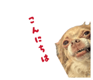 883445668