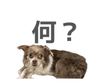 883445670