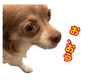 883445675