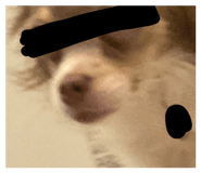 883445677