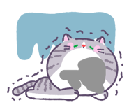 883445691