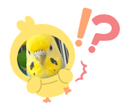 883447473