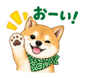 883447564