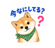 883447568