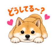 883447569