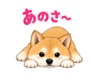 883447574