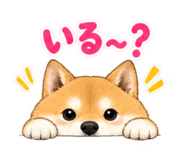 883447577