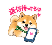 883447580