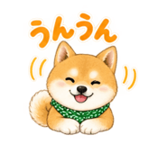 883448121