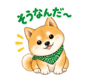 883448124