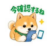 883448142