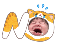 883448653