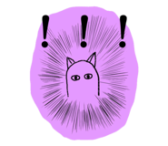 883449036