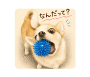 883450210