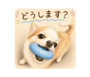 883450211