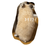 883450869