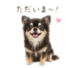 883451131