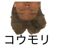883452141