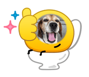 883455445