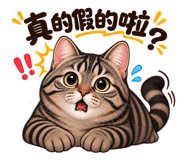 883467795