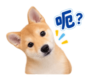 883468818