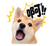 883468819