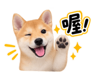 883468820