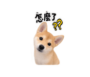 883468829