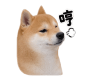 883468832