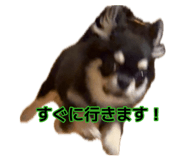 883476985