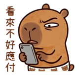 883479585